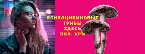 mdpv Каменногорск