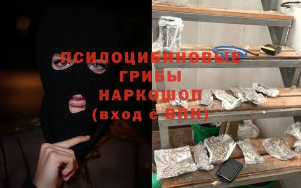 СК Каменск-Шахтинский