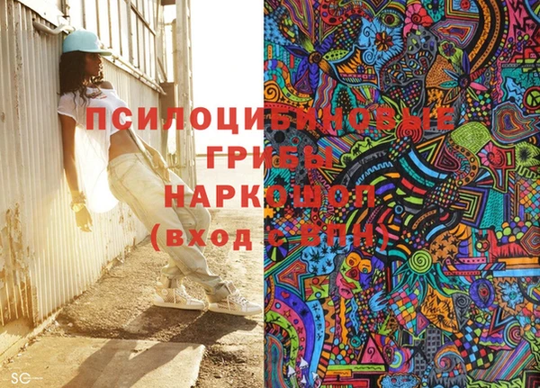 mdpv Каменногорск