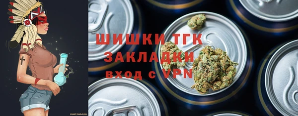 mdpv Каменногорск