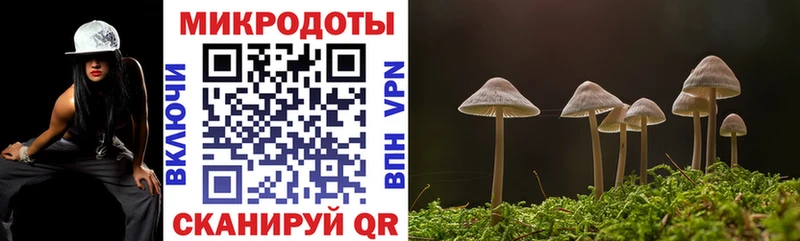 Галлюциногенные грибы GOLDEN TEACHER  Купить закладки  Бабаево 